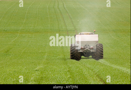 Agriculteur demandeur d'engrais pour l'orge d'hiver au printemps en utilisant le tracteur de pneus larges pour réduire compactation Penrith Cumbria Banque D'Images