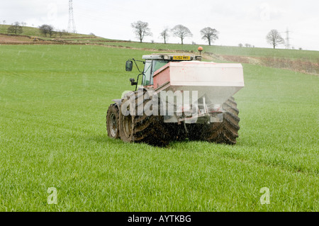 Agriculteur demandeur d'engrais pour l'orge d'hiver au printemps en utilisant le tracteur de pneus larges pour réduire compactation Penrith Cumbria Banque D'Images