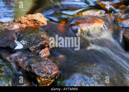 Pierres colorées dans l'Oder Brook près de Torfhaus Parc national de Harz Sachsen Anhalt, Allemagne Banque D'Images