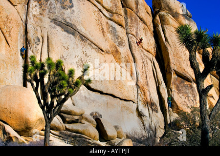 Mâle 3 grimpeurs à Joshua Tree National Park en Californie Banque D'Images