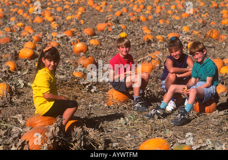 Quatre enfants jouant dans un champ de citrouilles orange pendant la journée ensoleillée d'automne Banque D'Images