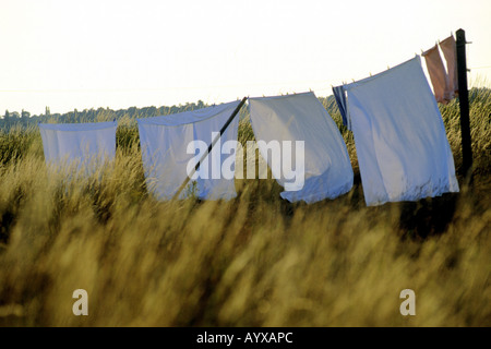 Les draps séchant sur un fil a linge, Rue du bardeau, Suffolk. Banque D'Images