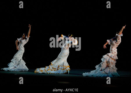Flamenco à la Flamenco Festival USA 2005 au New York City Center Hall de New York USA 29 janvier 2005 Banque D'Images