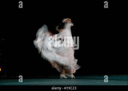 Flamenco à la Flamenco Festival USA 2005 au New York City Center Hall de New York USA 29 janvier 2005 Banque D'Images