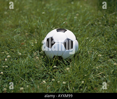 Sports, football, balle repose sur la pelouse, photographie symbolique Banque D'Images