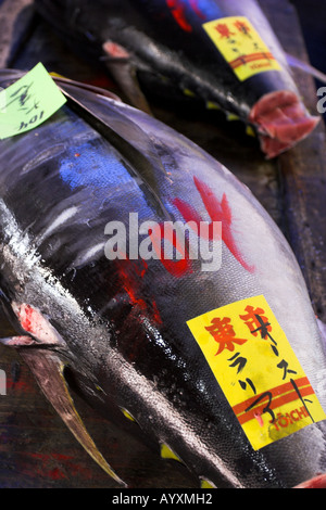 Une image au format portrait de deux gros poissons avec : en rouge et jaune sur l'affichage à Tokyo au Japon, marché aux poissons. Banque D'Images