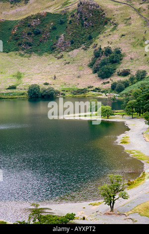 Rive sud du lac Buttermere sous 'Fleetwith Pike', 'le Lake District' Cumbria England UK Banque D'Images