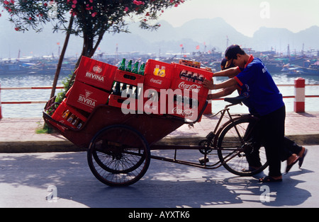 Deux jeunes hommes transportingt boîtes de rafraîchissements sur un ciclo .Cat Ba Halong Bay, Vietnam. Banque D'Images