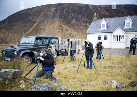 Vous pourrez photographier red deer, Alladale Estate, Ecosse Banque D'Images