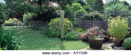 Jardin mature avec des arbustes, le format panoramique, Londres, Angleterre Banque D'Images