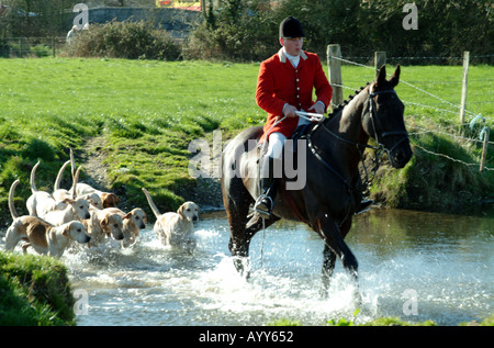 Huntsman à courre South Dorset Dorchester sud de l'Angleterre de l'eau traversée Royaume-uni Banque D'Images