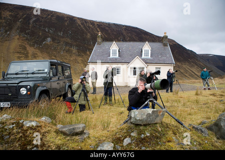 Vous pourrez photographier red deer, Alladale Estate, Ecosse Banque D'Images