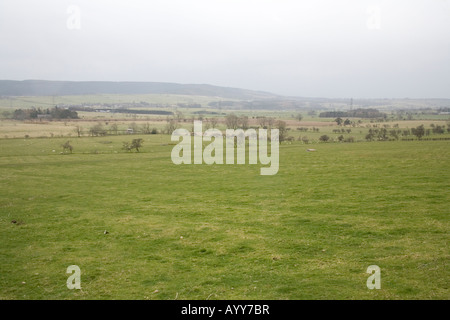 Les champs autour de Glanton rural misty dans le Northumberland England Banque D'Images