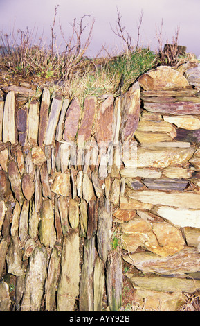 Un Cornish hedge un mur en pierre sèche mur rempli de terre trouvés à Cornwall Banque D'Images