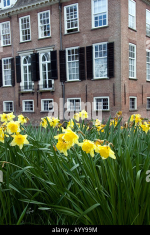 Château Rijnhuizen à Nieuwegein, près d'Utrecht en Hollande Banque D'Images