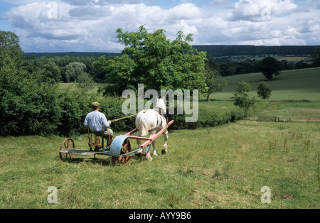 Fenaison à l'ancienne avec tondeuse à chevaux à Acton Scott une ferme Musée dans le Shropshire Banque D'Images