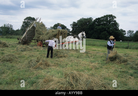 Fenaison à l'ancienne avec un cheval et panier, après avoir coupé l'herbe à la main à Acton Scott Farm Museum sur un après-midi d'été Banque D'Images