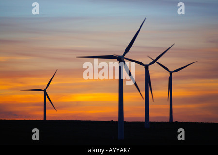 Éoliennes au coucher du soleil. Banque D'Images