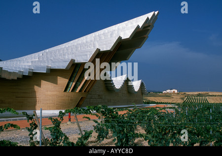 La pièce centrale en grève Ysios winery dépasse du toit en aluminium ondulé comme la proue d'un navire Banque D'Images