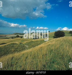 Ivinghoe collines dans les Chilterns Bucks UK Septembre Banque D'Images