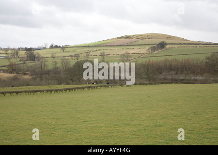 Glanton Pike, Northumberland, Angleterre. Banque D'Images