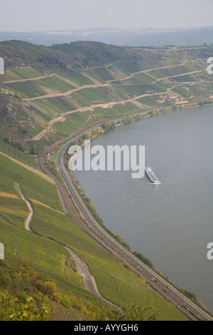 Vue sur la région viticole de Bopparder Hamm sur la rive gauche du Rhin dans la vallée d'Middle-Rhine allemand Banque D'Images