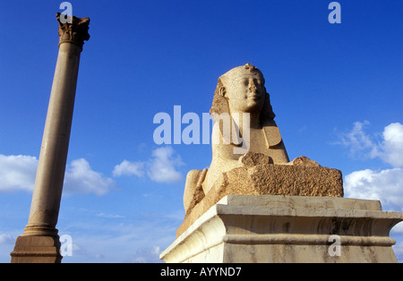 Pompey s pilier et Sphinx, Alexandrie, Egypte. Banque D'Images