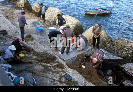 Les pêcheurs qui tendent leurs filets, Alexandrie, Egypte. Banque D'Images