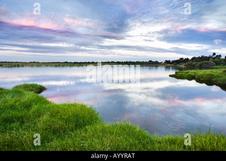 L'herbe verte à côté du Parc Régional du lac Bouvier à Perth, Australie occidentale. Banque D'Images