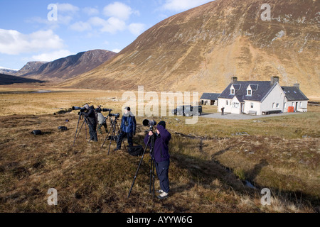 Vous pourrez photographier red deer, Alladale Estate, Ecosse Banque D'Images