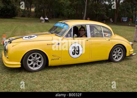 Une Jaguar MK2 dans ses couleurs de course sur l'herbe Banque D'Images