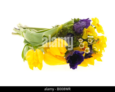 Bouquet lumineux frais ou un bouquet de fleurs de printemps colorés isolé sur un fond blanc avec un chemin de détourage et aucun peuple Banque D'Images