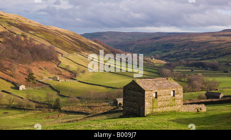 Parc national des Yorkshire Dales Swaledale Yorkshire Traditional Stone Grands in Upper Swaledale près de Keld Yorkshire Dales North Yorkshire England UK GB Banque D'Images