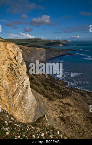 Le Dorset Coast à l'Est, vers St.Aldhelms ou St Albans, tête de Worbarrow Banque D'Images