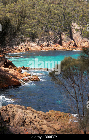 La ligne de côte au parc national de Freycinet en Tasmanie en Australie. Banque D'Images