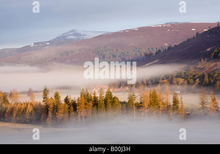 Couche d'inversion après cold Morning Mist Mar Lodge Estate, Braemar, Dee Valley, Cairngorma Parc National, l'Ecosse UK Banque D'Images