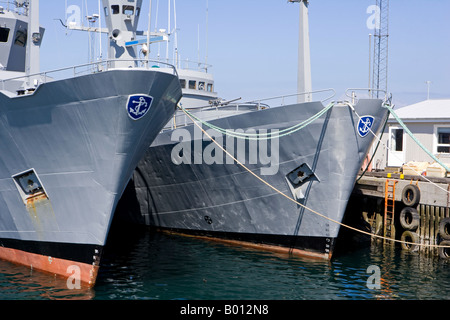 L'Islande, Reykjavik. Dans la zone du port de Reykjavik, la capitale islandaise , les navires de patrouille de la marine sont à l'ancre. Banque D'Images