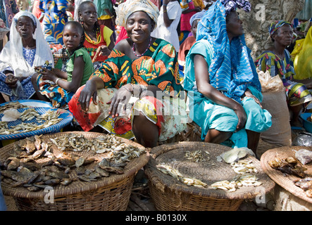 Mali, Bamako, Tinan. Les femmes vendent du poisson séché ou cuits à un marché hebdomadaire animé au petit centre rural de Tinan. Banque D'Images