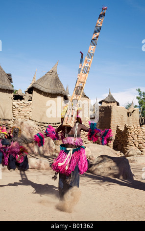 Mali, Pays Dogon, Tereli. Un danseur masqué portant les quinze mètres de haut masque Sirige gyrates au village Dogon de Tereli. Banque D'Images