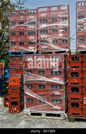 Stock photo de caisses de bouteilles de verre prêt à être recyclé Banque D'Images