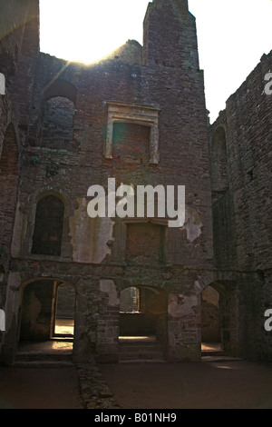 Une cheminée à Raglan Castle Monmouthshire au Pays de Galles UK Banque D'Images