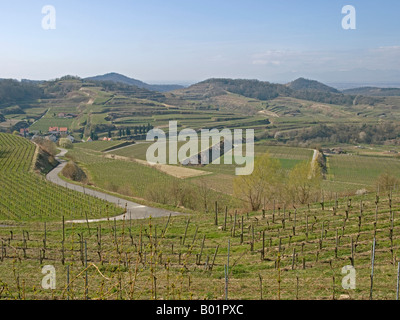 Vue sur les vignes avec terrasses à Kaiserstuhl Baden-württemberg Baden Württemberg Allemagne Banque D'Images