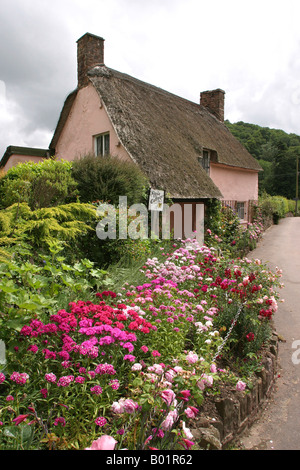 Le Somerset Selworthy Rose Cottage Banque D'Images