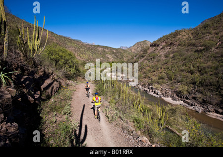 Alida Dierher et George Boykin vtt de Batopilas à Cerro Colorado dans la région de Copper Canyon du Mexique Banque D'Images