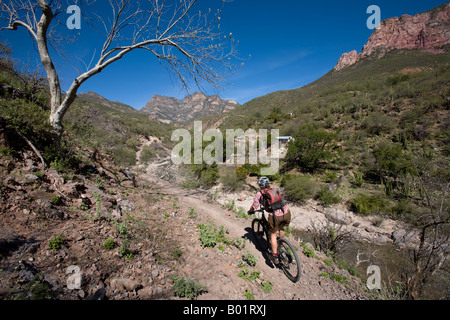 Rachel Schmidt vtt de Batopilas à Cerro Colorado dans la région de Copper Canyon du Mexique Banque D'Images