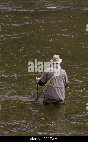 Homme âgé la pêche à la mouche de la truite brune sauvage sur la rivière Usk au Gliffaes Country House Hotel de l'eau près de Crickhowell Powys Pays de Galles UK Banque D'Images