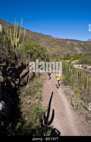 Randonnée cycliste de Batopilas à Cerro Colorado dans la région de Copper Canyon du Mexique Banque D'Images
