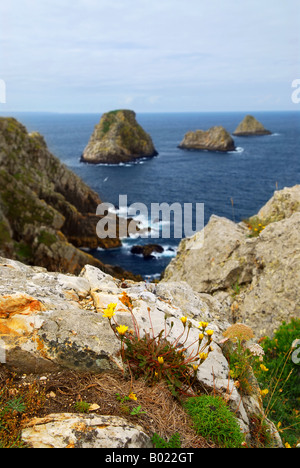 Vue panoramique de la pointe de Penhir sur la côte atlantique en Bretagne France Banque D'Images