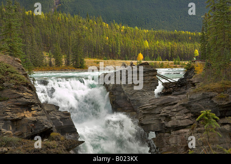 Athabasca Falls dans un canyon profond dans le nord du Canada Banque D'Images