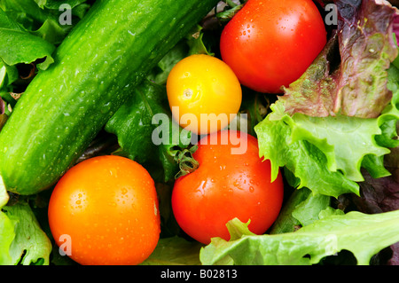 Assortiment de légumes frais concombre tomates laitue verte Banque D'Images